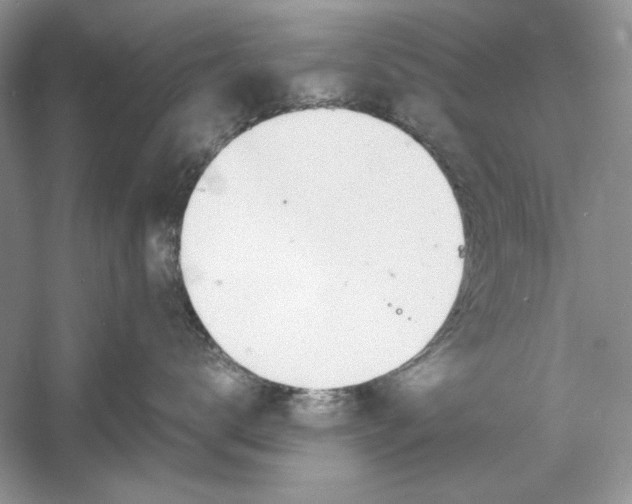 X0000060750672200512011448