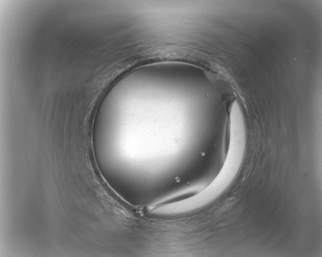X0000060750673200512011447