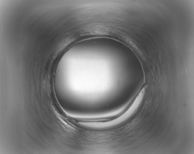 X0000060750677200512011447