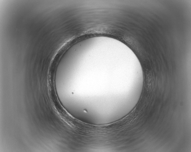 X0000060750680200512011447
