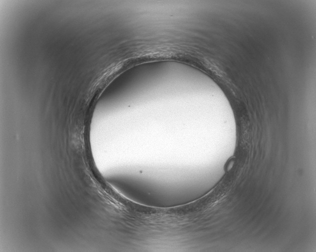X0000060750681200512011447