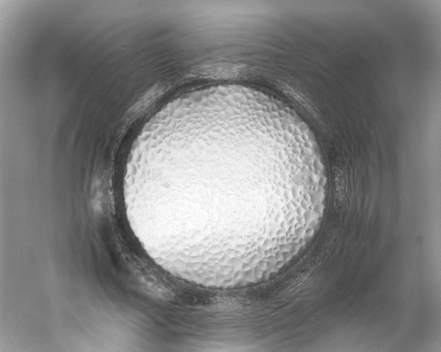 X0000060750682200512011447