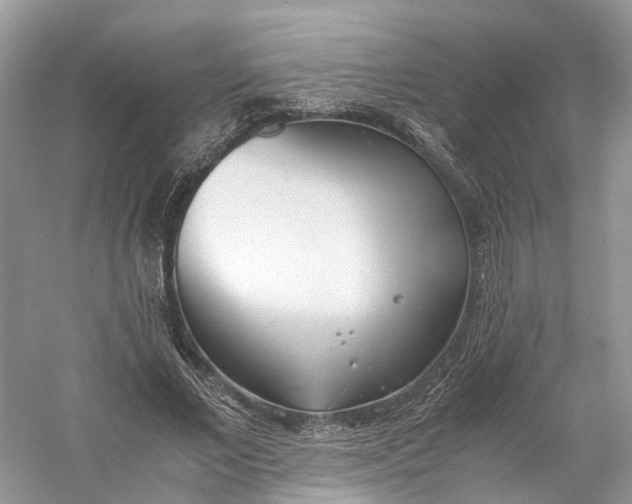 X0000060750685200512011447