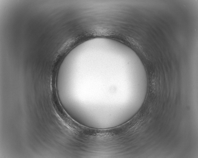X0000060750686200512011447