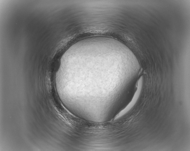 X0000060750688200512011447