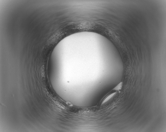 X0000060750689200512011447