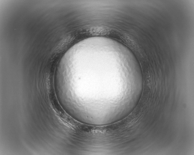 X0000060750690200512011447