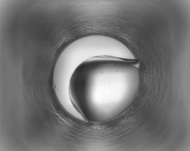 X0000060750691200512011447