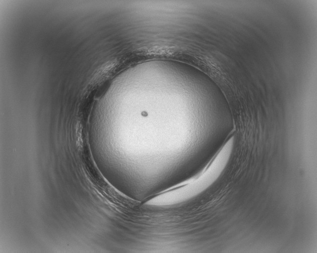 X0000060750692200512011447