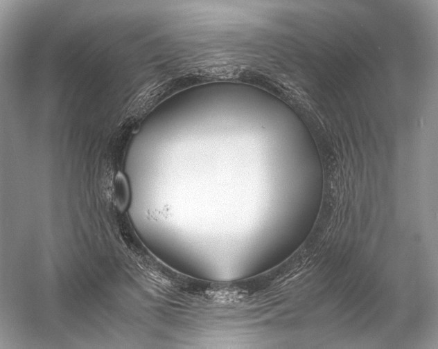X0000060750693200512011447