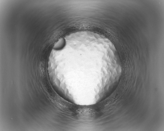 X0000060750695200512011447