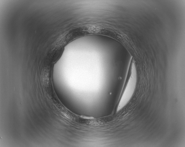 X0000060750697200512011447
