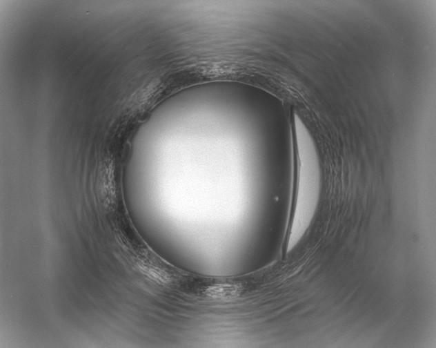 X0000060750700200512011447