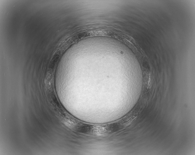 X0000060750701200512011447