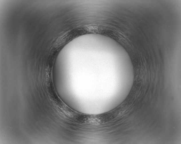 X0000060750702200512011447