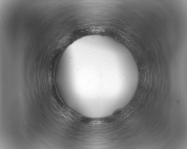 X0000060750704200512011447