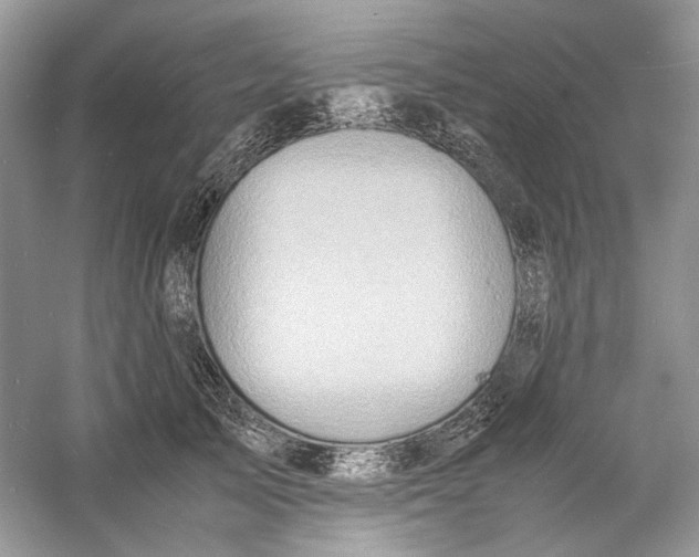 X0000060750705200512011447