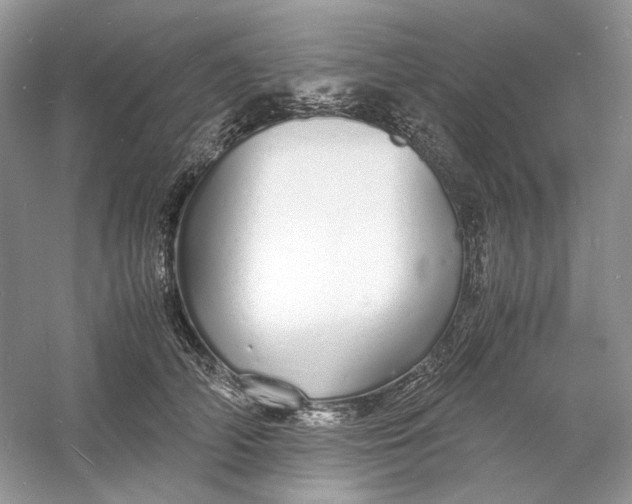 X0000060750706200512011447