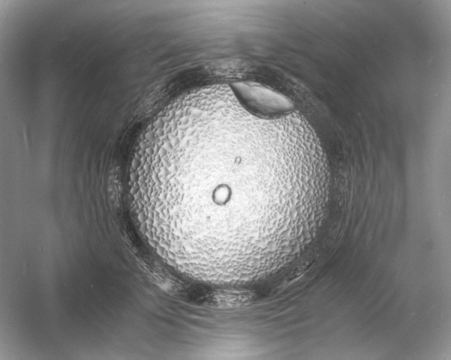 X0000060750707200512011447