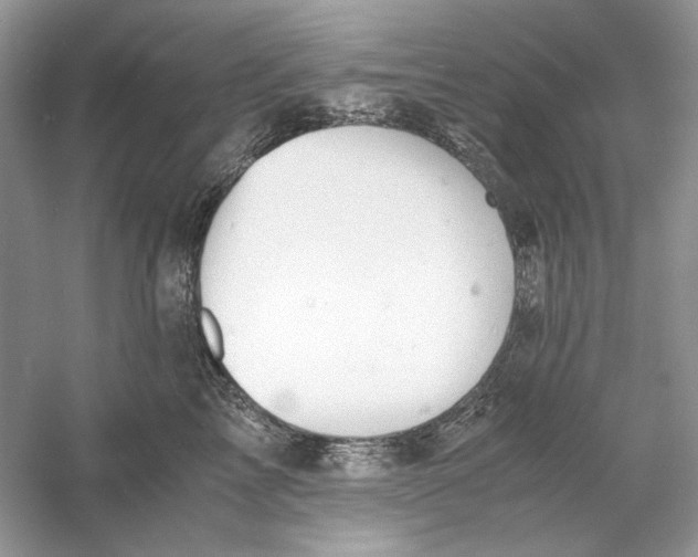 X0000060750713200512011447