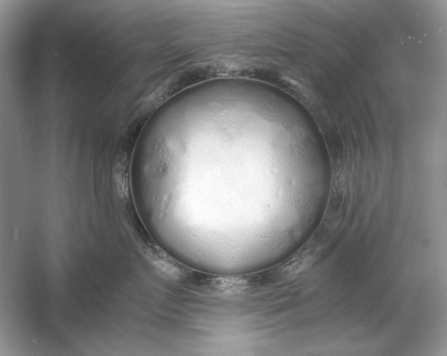 X0000060750719200512011447