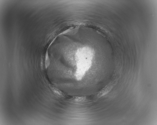 X0000060750720200512011447