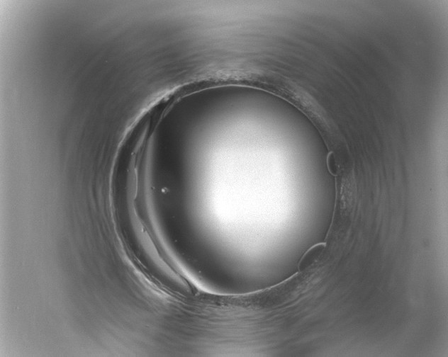 X0000060750722200512011446