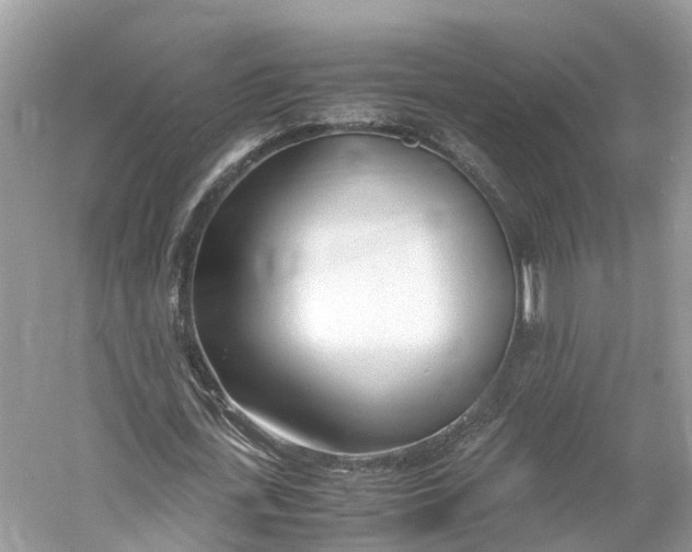 X0000060750723200512011446