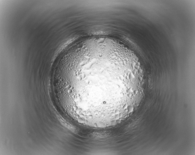 X0000060750725200512011446
