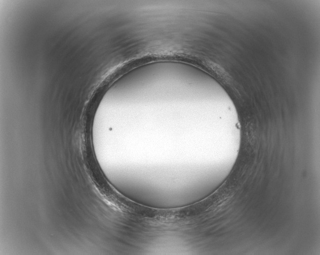 X0000060750728200512011446