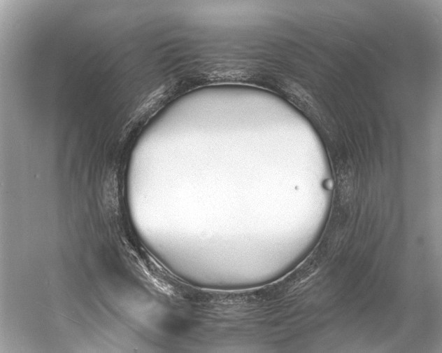 X0000060750729200512011446