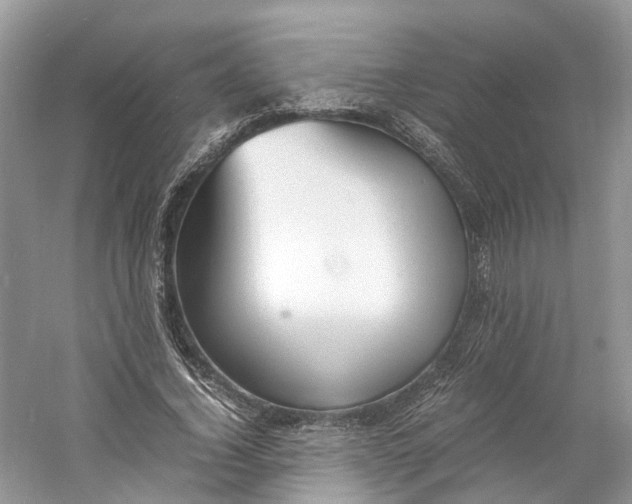 X0000060750732200512011446