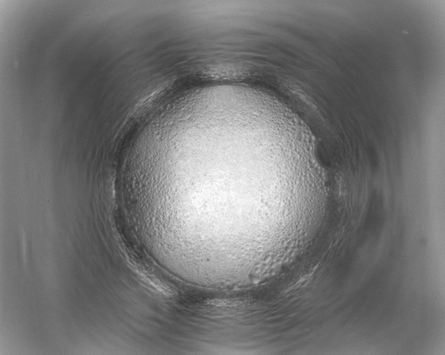 X0000060750733200512011446