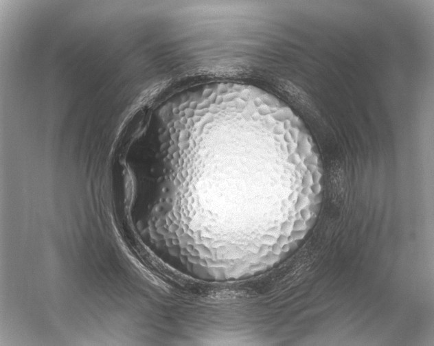 X0000060750734200512011446
