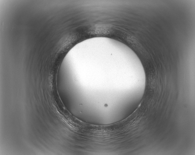 X0000060750735200512011446
