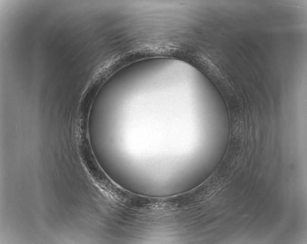 X0000060750736200512011446