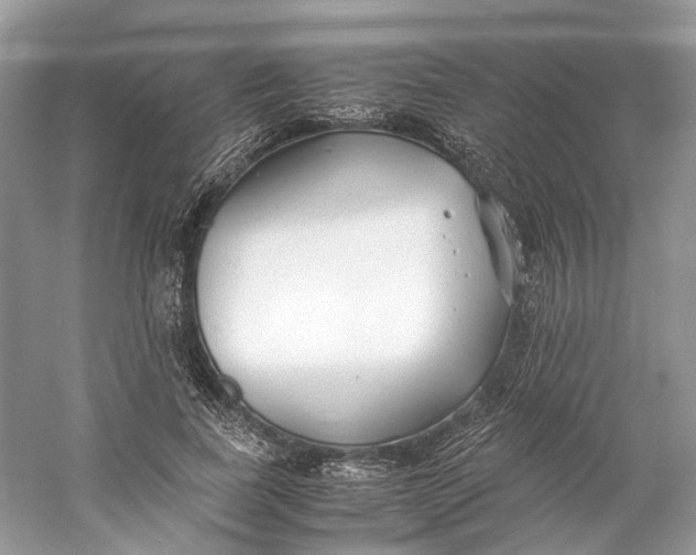 X0000060750739200512011446
