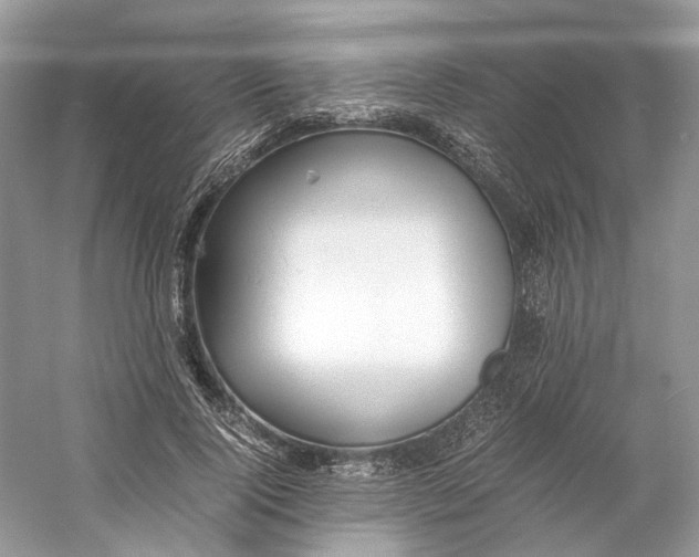 X0000060750740200512011446