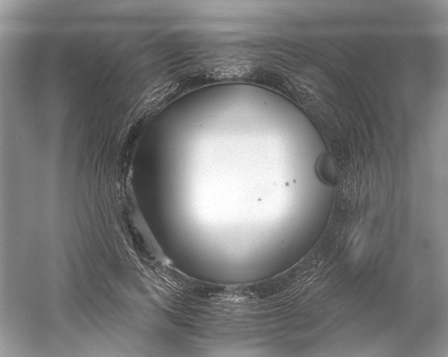 X0000060750743200512011446