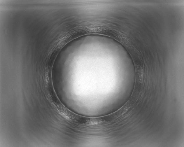 X0000060750746200512011446