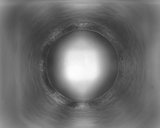 X0000060750750200512011446