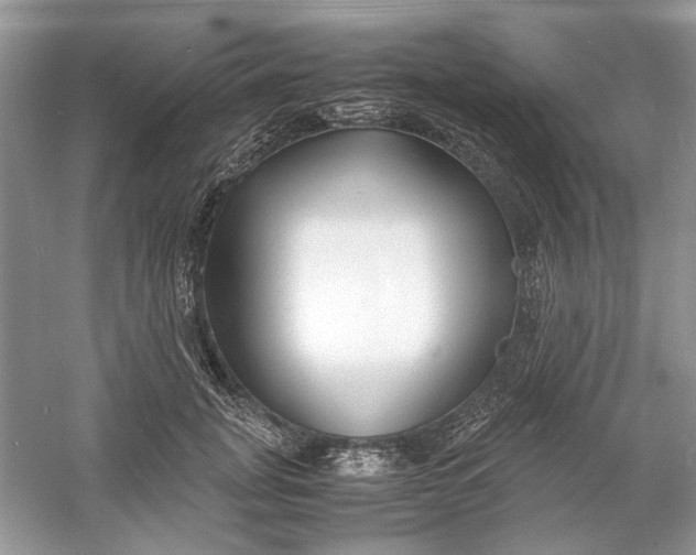 X0000060750751200512011446