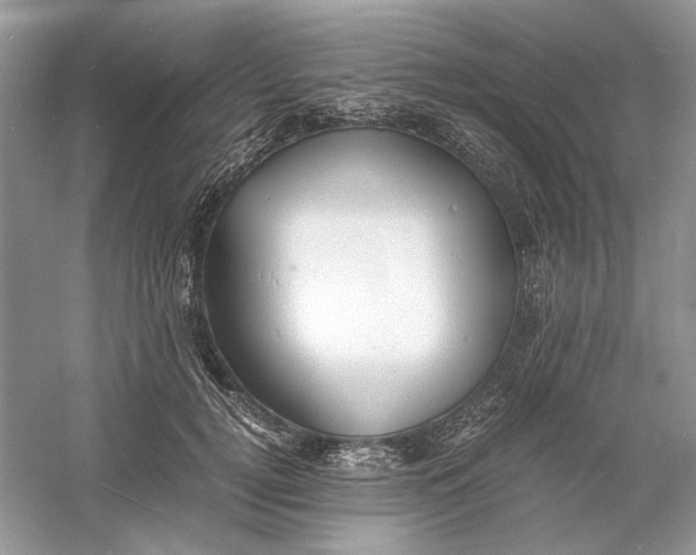 X0000060750752200512011446