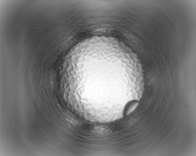 X0000060750753200512011446