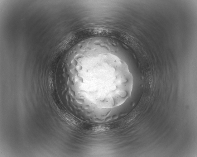 X0000060750754200512011446