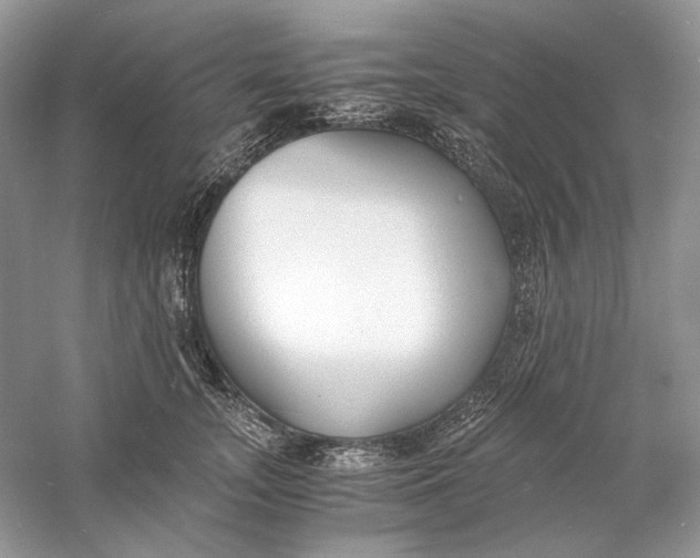 X0000060750755200512011446