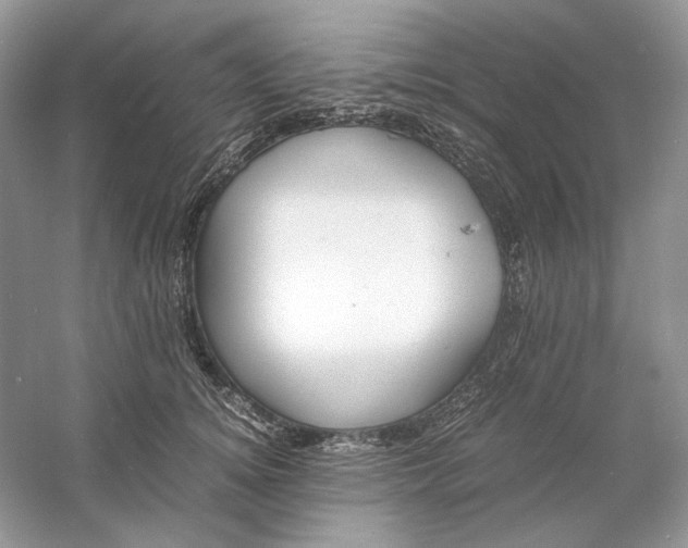 X0000060750756200512011446