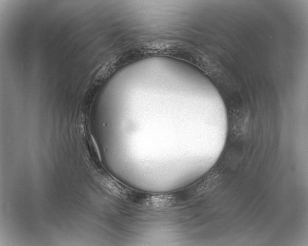 X0000060750758200512011446