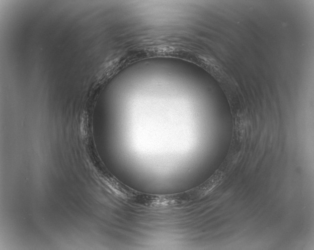 X0000060750760200512011446