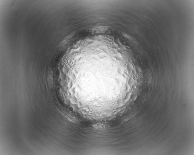 X0000060750761200512011446